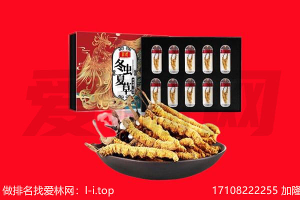 长洲区回收虫草.jpg